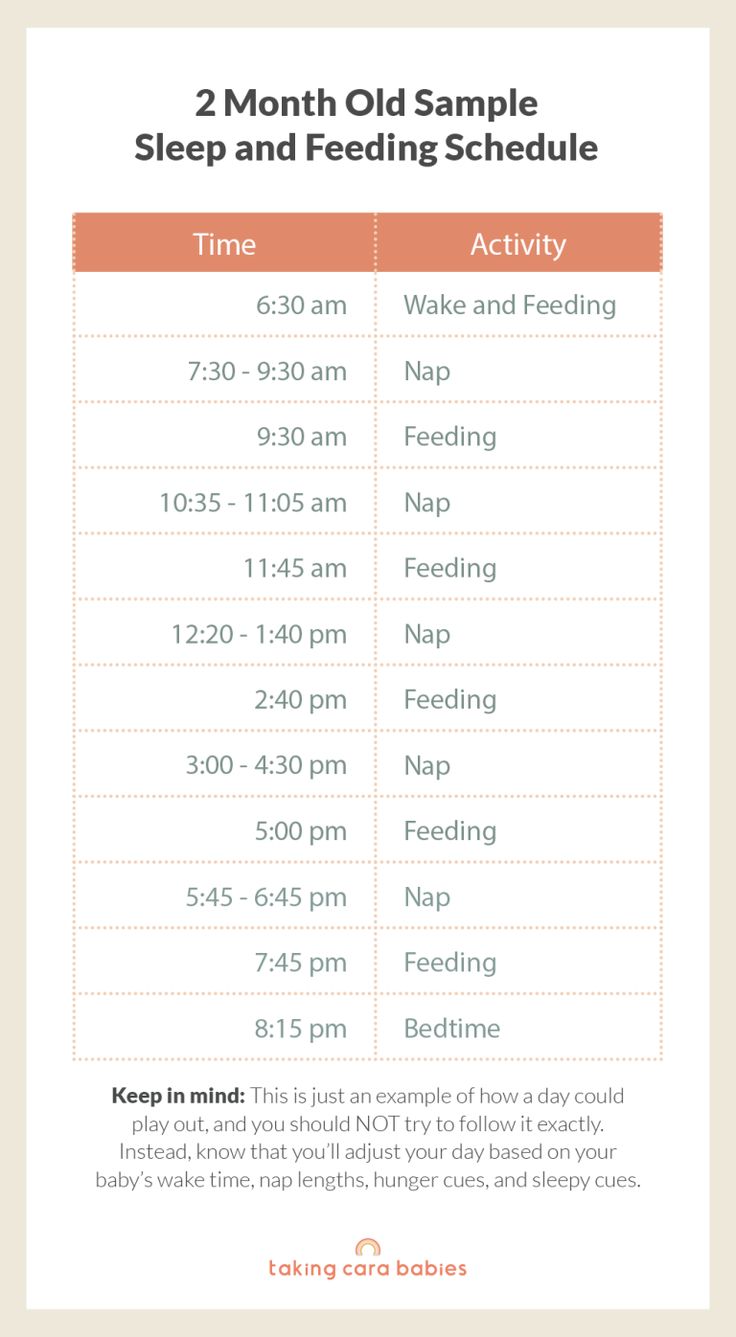 the two month old sample sleep and feeding schedule is shown in this graphic above it