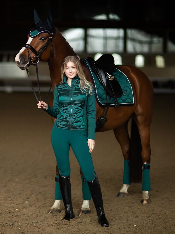 a woman standing next to a brown horse