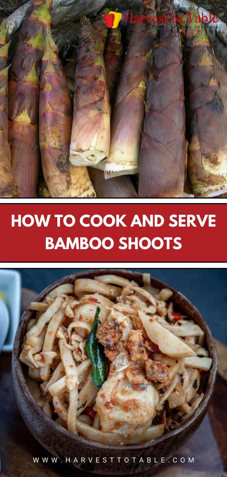 several different types of food on display with text that reads how to cook and serve bamboo shoots