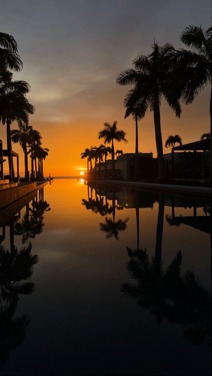 Sunset photography 
Resort
Infinity pool
Sunset 
Photography 
Palm trees Grenada Aesthetic, Silversands Grenada, Grenada Island, 2024 Holidays, Caribbean Summer, Grenada Caribbean, Tropical Travel Destinations, Christmas Cruise, Christmas Cruises