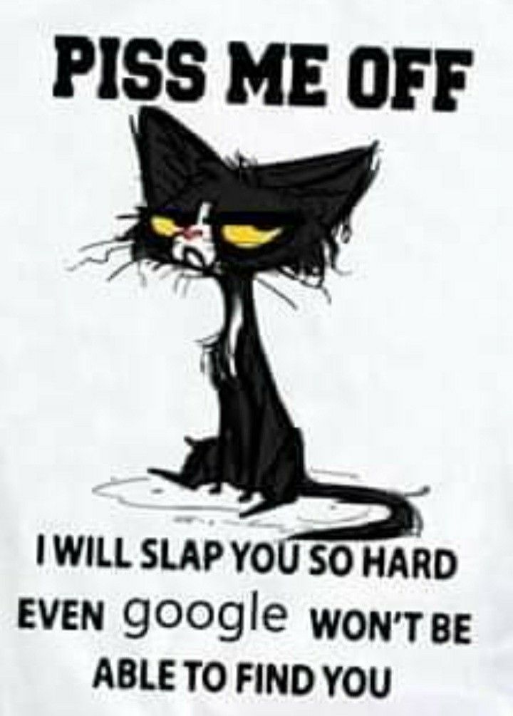 a white t - shirt with an image of a black cat saying, piss me off i will slap you so hard even google won't be able to find you