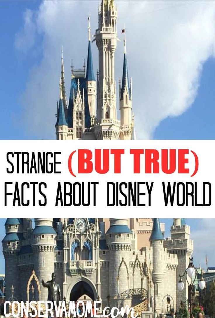 a castle with the words strange but true fact about disney world