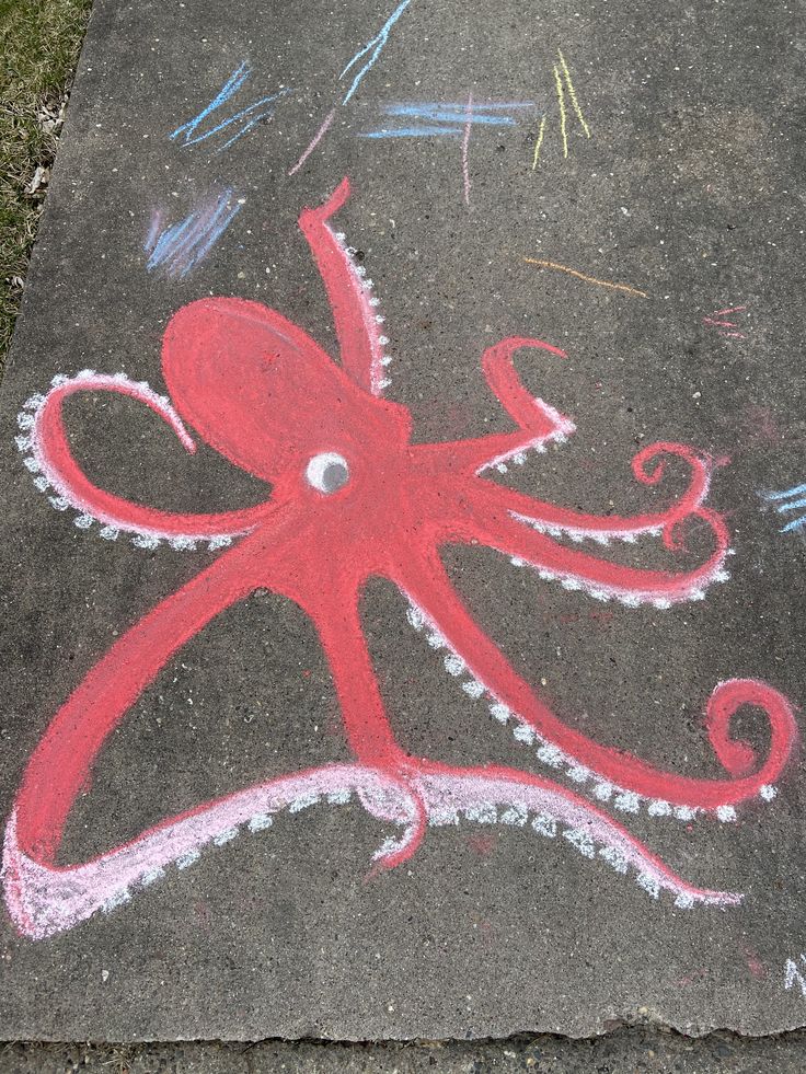 an octopus drawn on the sidewalk with chalk