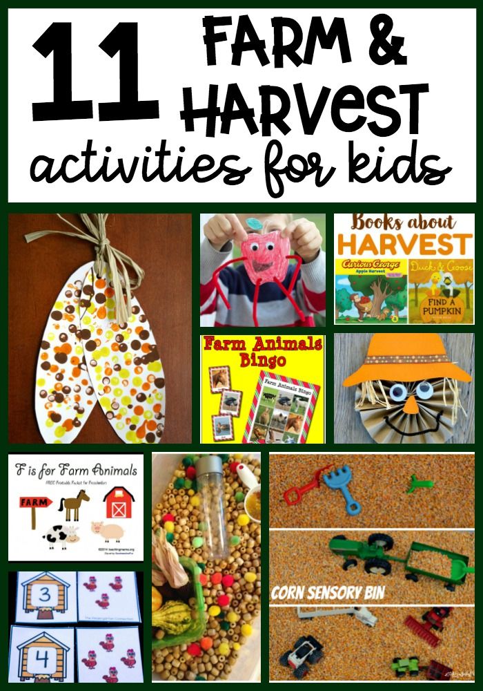 farm and harvest activities for kids