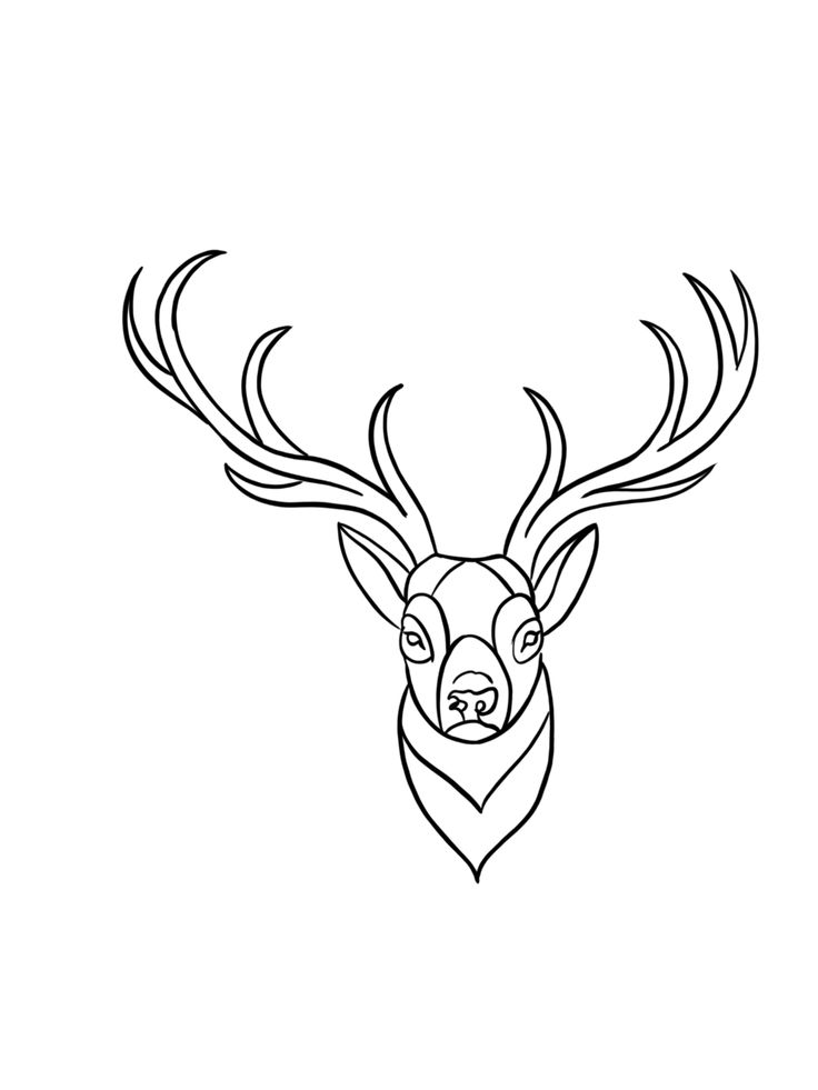 a deer's head with antlers on it