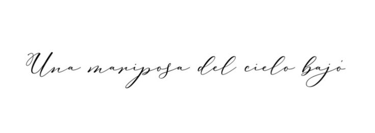 the word un nappingo del cilo bigi written in cursive ink