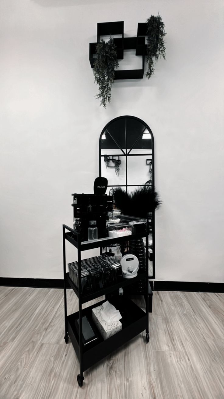 a black and white photo of a room with a mirror, planter and shelf