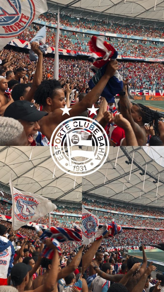 fans at a sporting event holding flags and waving their hands in front of the camera