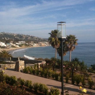 a street light sitting next to the ocean on top of a hill with palm trees