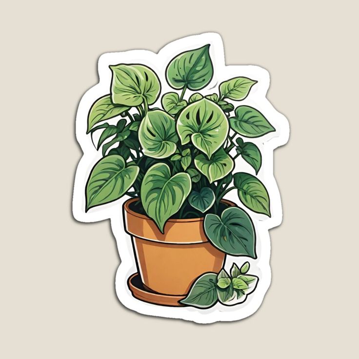 a potted plant with green leaves sticker on a gray background, it's easy to cut out