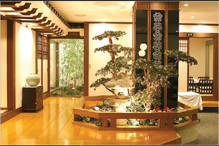 a bonsai tree in the middle of a room with wood flooring and large windows