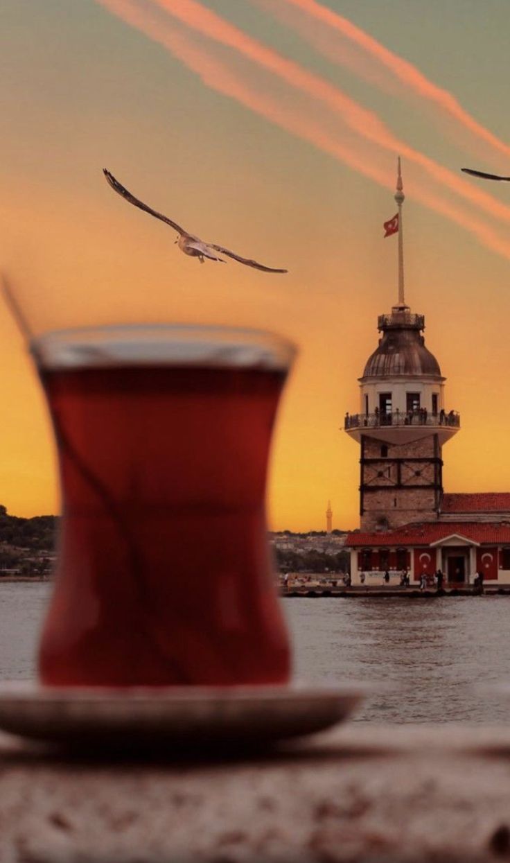 two birds flying in the sky over a body of water and a building with a flag on it