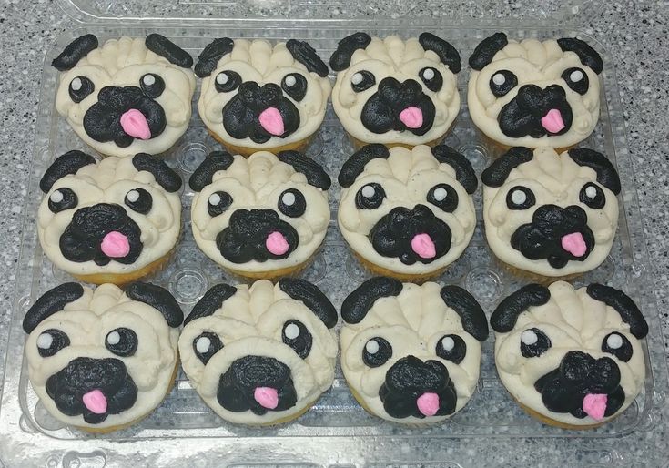 there are many cupcakes with black and white frosting that look like pugs