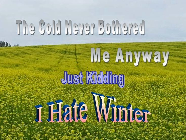 Hate Winter Funny, I Hate Winter, Things Quotes, Hate Winter, Quotes Ideas, Best Cleaning Products, Joke Of The Day, Clean Humor, Me Clean