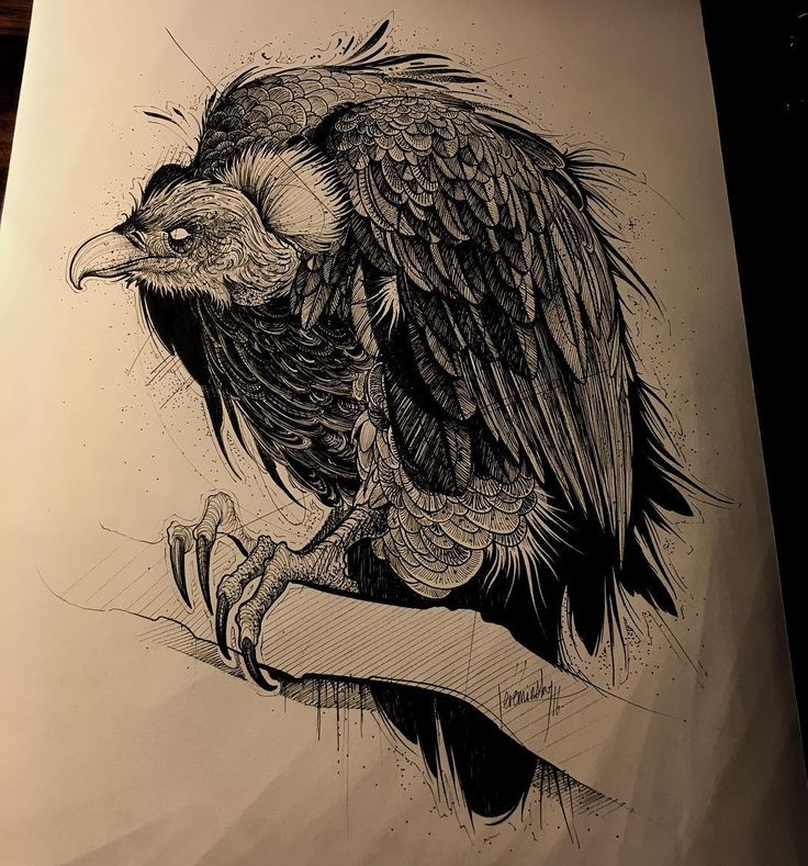 a drawing of a bird sitting on top of a piece of paper