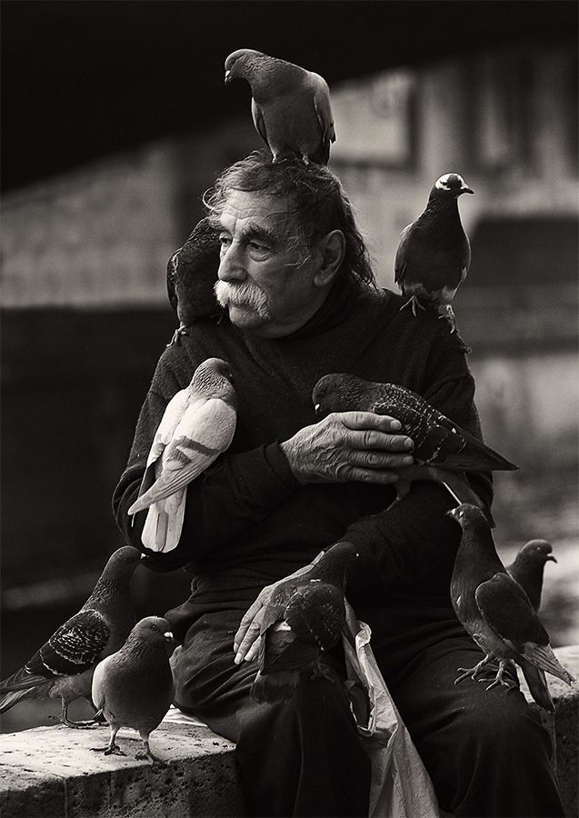 black and white photograph of an old man with pigeons on his shoulder, sitting in front of him