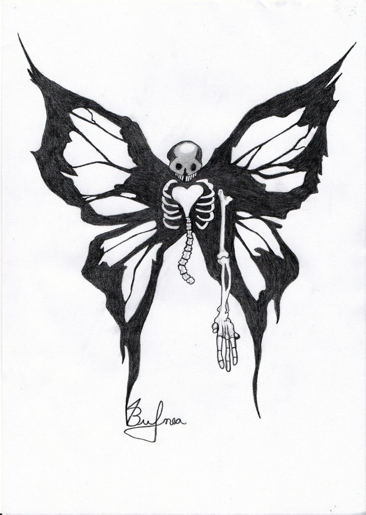 a drawing of a skeleton butterfly