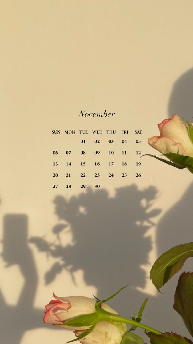 the shadow of a person standing next to flowers on a white wall with a calendar