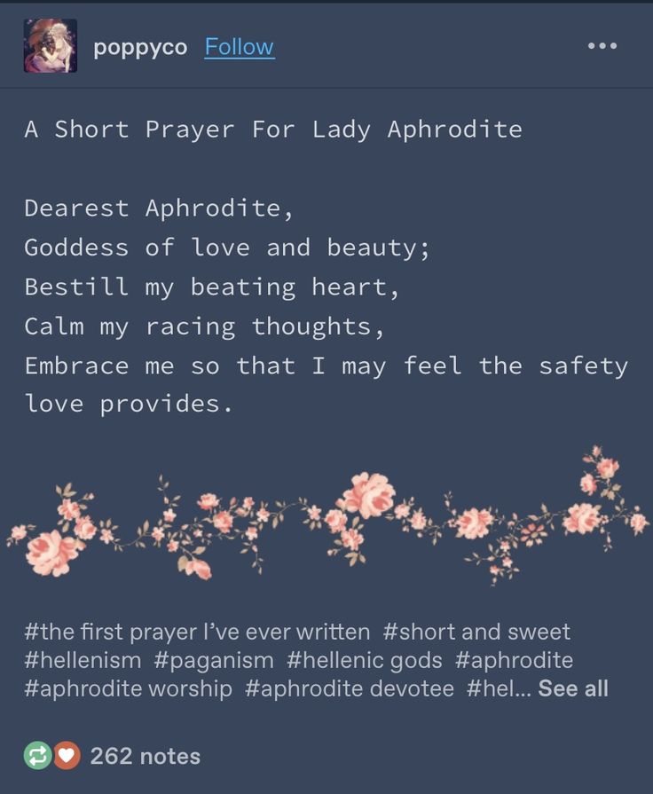 a text message with flowers on it that reads,'i am sorry for lady aphrodite '