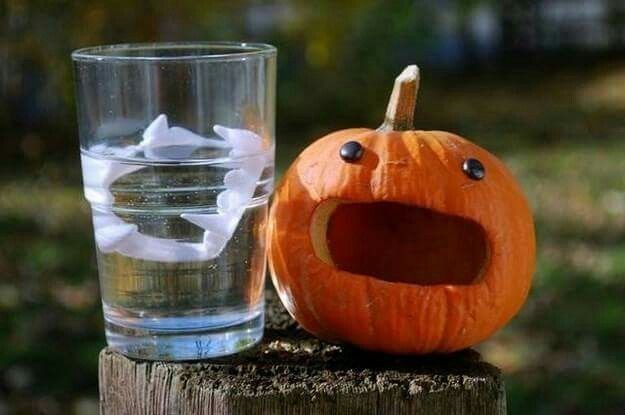 a pumpkin sitting next to a glass filled with water