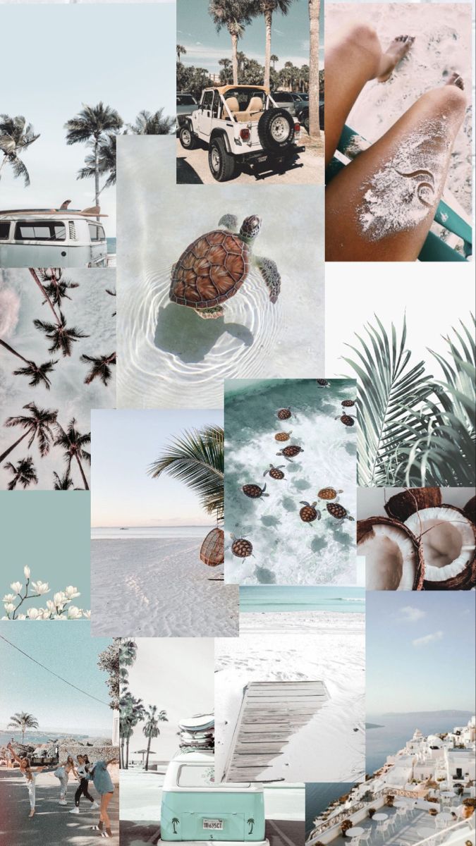 a collage of different pictures with palm trees and vehicles