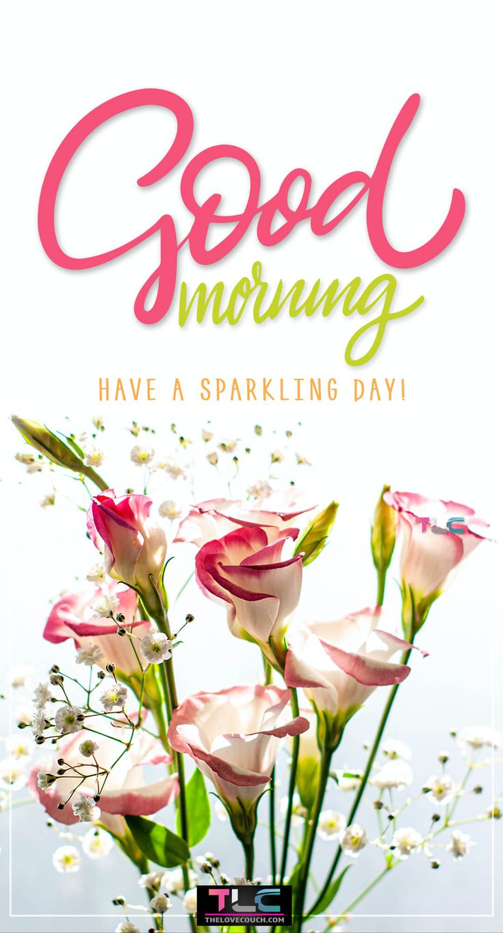 flowers are in a vase with the words good morning have a sparkling day on it