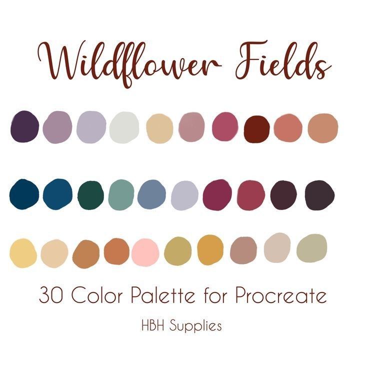 wildflower fields 30 color palettes for procreate hbj supplies -