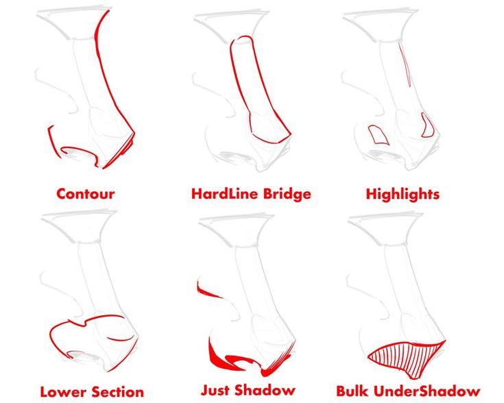 the different types of foot shapes and how to use them for each type of shoe