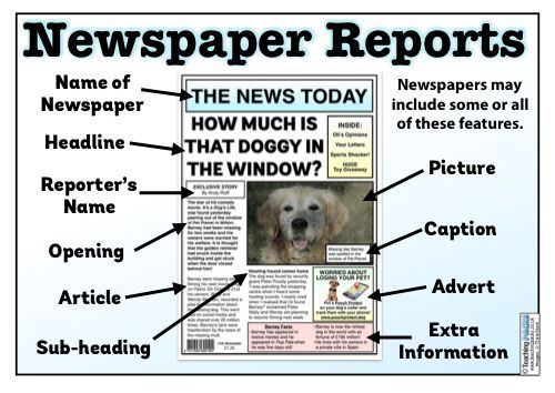 a newspaper with the names of newspapers on it and an image of a dog's face