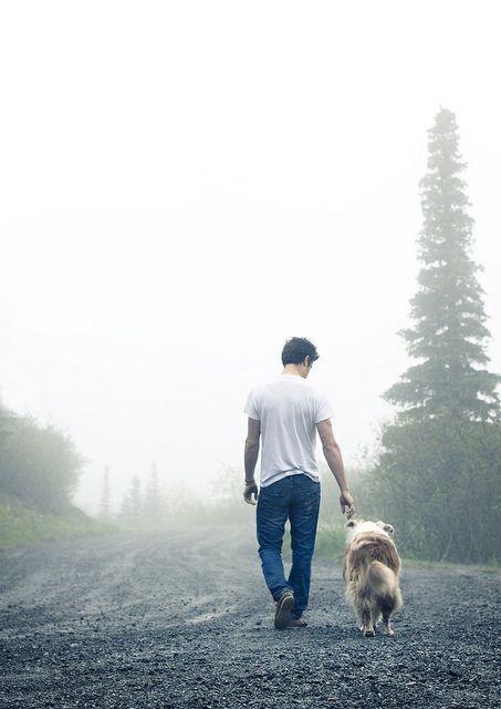 a man walking with his dog on a foggy day in the woods and trees