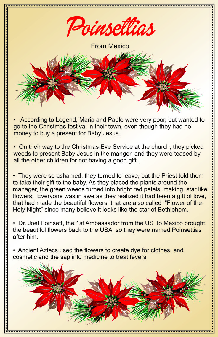 a christmas poem with poinsettias on it