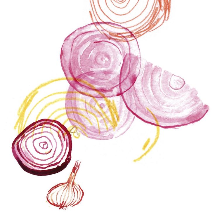 an onion and garlic drawing with colored pencils on white paper, in the shape of spirals