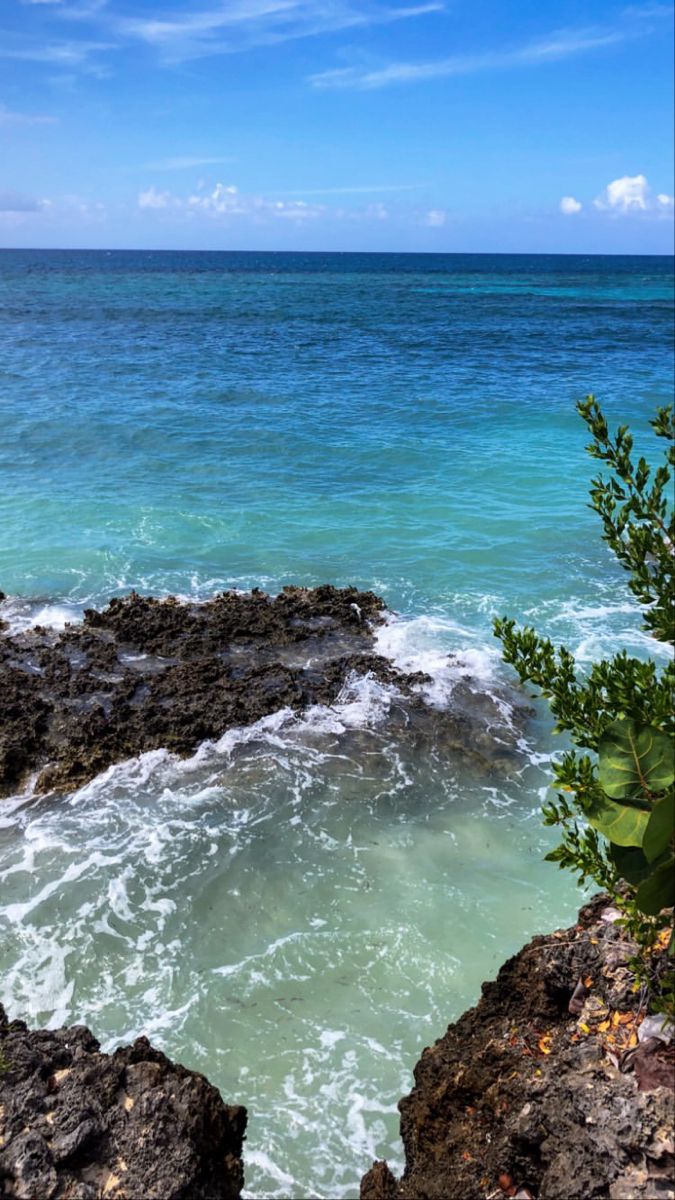 an ocean view with rocks and plants on the shore