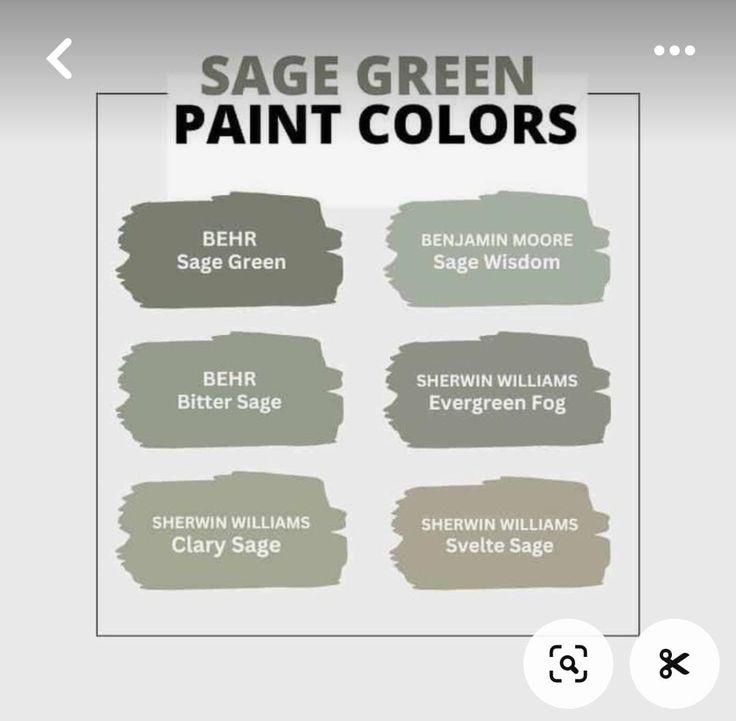 the sage green paint colors are available in different shades and sizes, including white, gray,