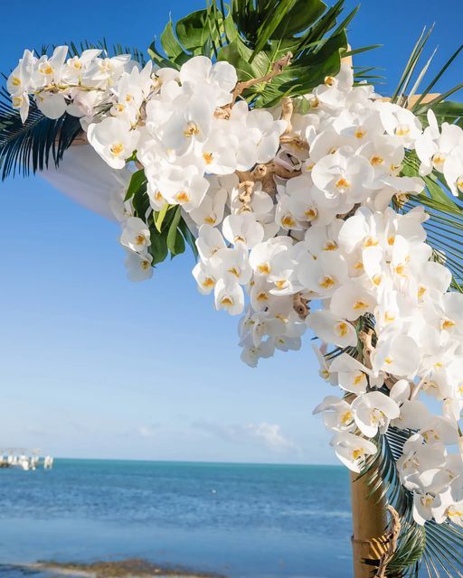 white orchids and palm leaves on a beach with the ocean in the back ground