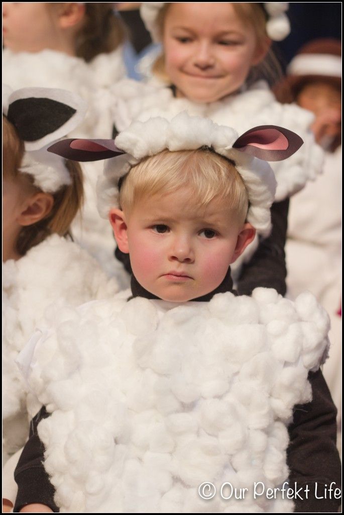 children dressed in sheep costumes at an event