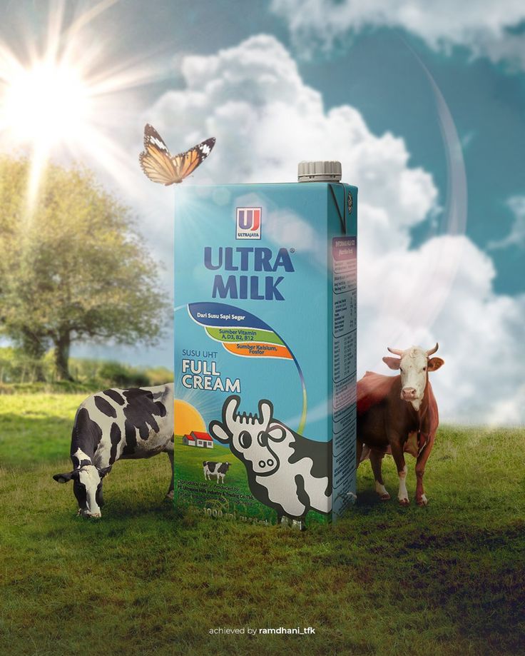 two cows standing next to a milk carton on top of a grass covered field