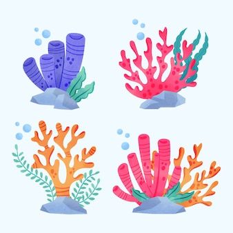 four colorful corals and seaweed in the water