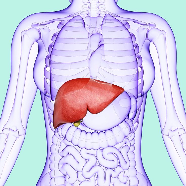 Alcohol is one of the best-known causes of liver damage, but it’s not the only culprit. Find out what else can hurt the vital organ here. | Health.com Liver Aesthetic, Cinnamon Health Benefits, Liver Damage, Tomato Nutrition, Calendula Benefits, Zinc Deficiency, Pineapple Water, Matcha Benefits, Lemon Benefits