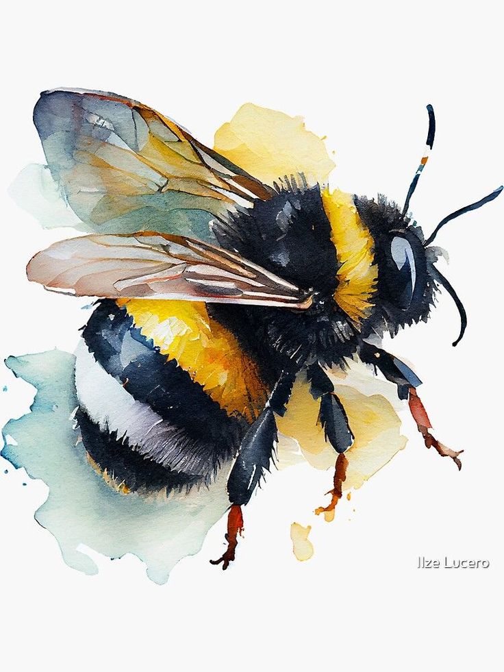 a watercolor painting of a bee on a white background with yellow and black stripes