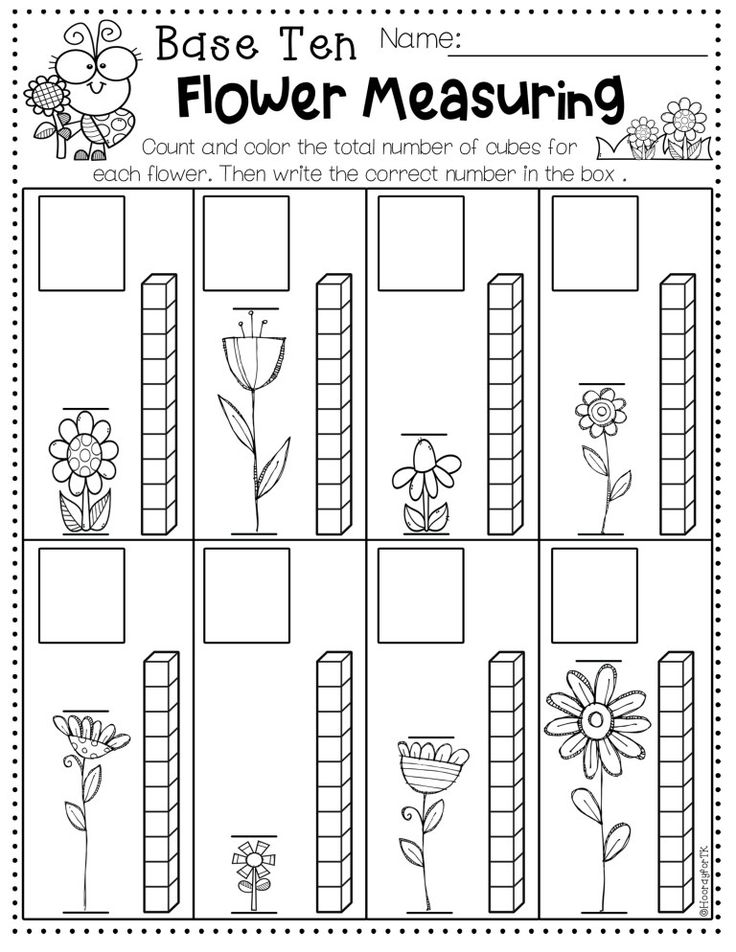 flower measurement worksheet for kids to practice counting and writing numbers on the number line