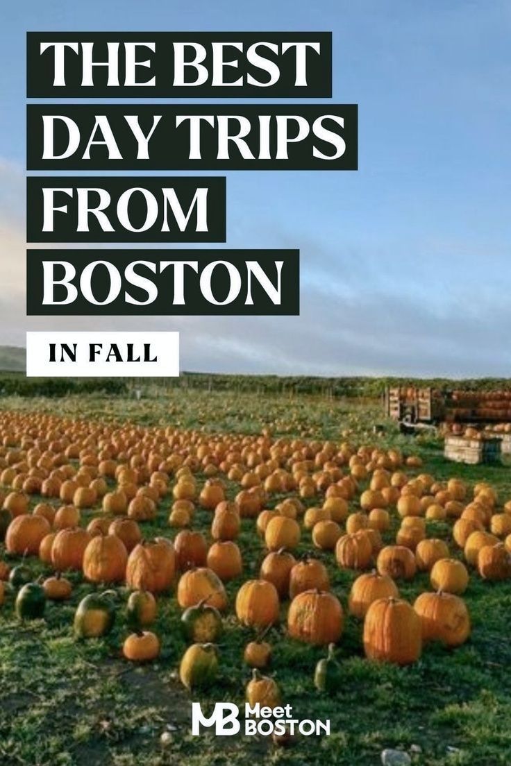 a field full of pumpkins with the words, the best day trips from boston in fall