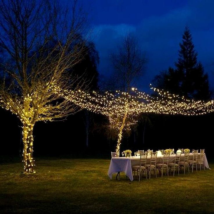 an outdoor dinner setup with lights on the trees