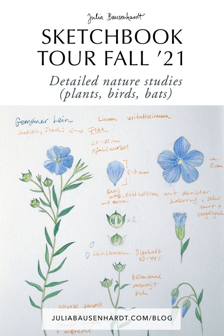 a drawing book with blue flowers on it