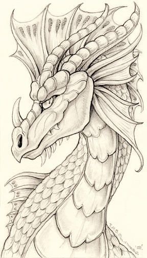 a drawing of a dragon with its head turned to look like it is wearing a hat