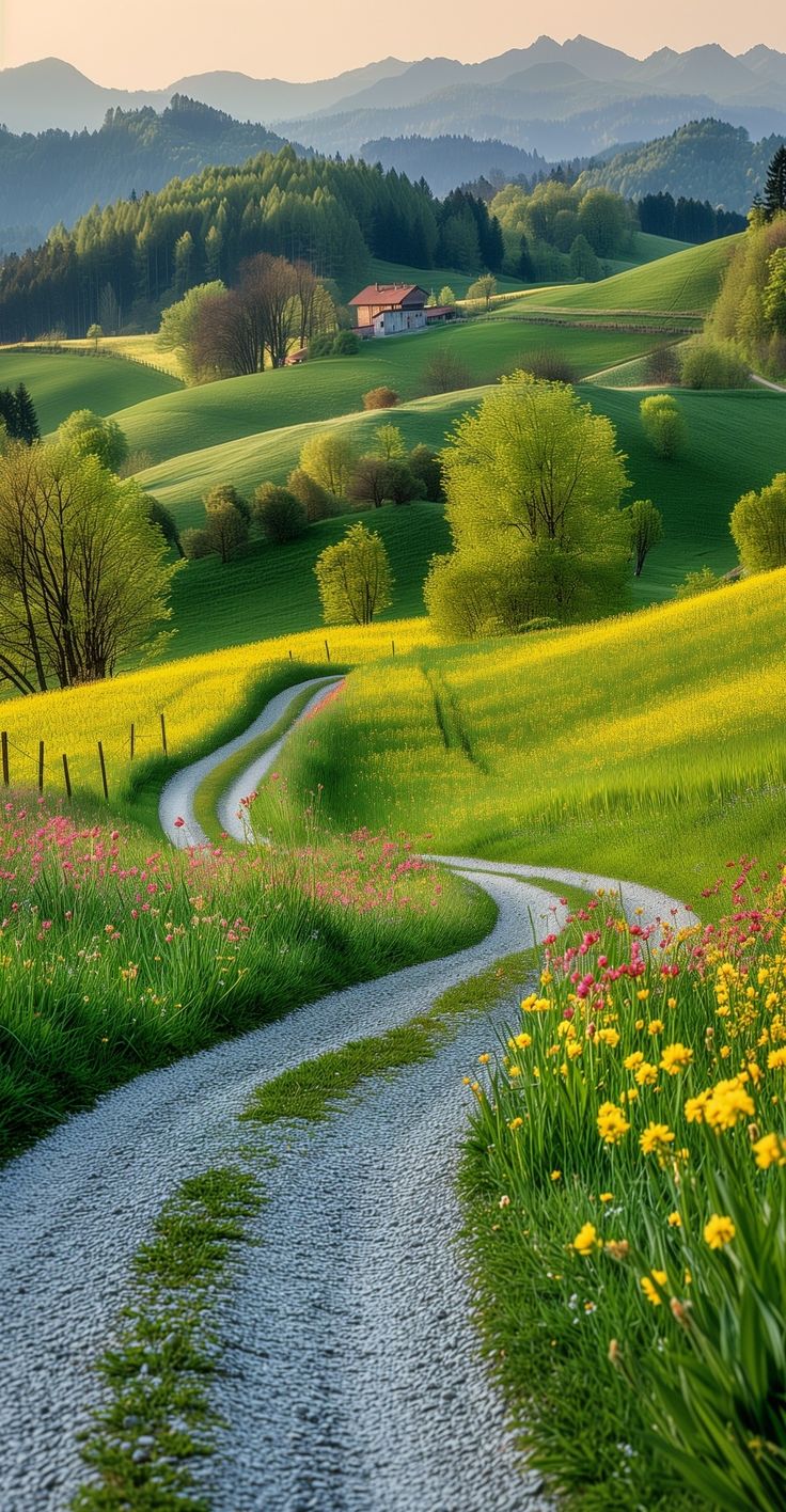 a dirt road winding through a lush green field with wildflowers in the foreground