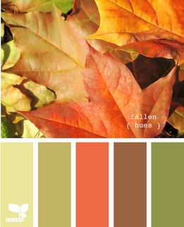 an image of autumn leaves with color swatches