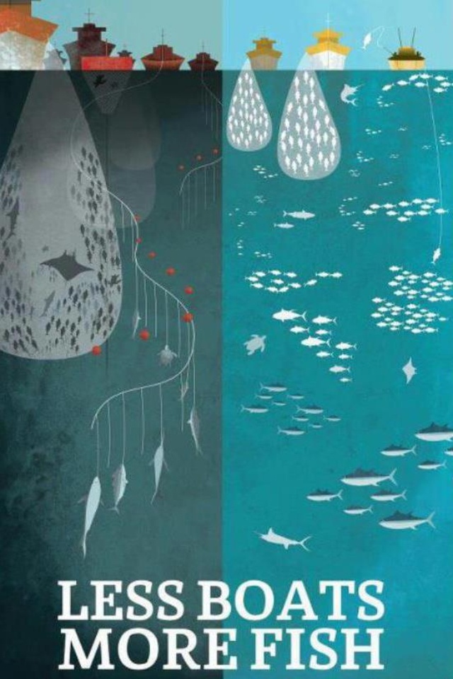 the cover of less boats, more fish by greenpeace is shown in three different colors