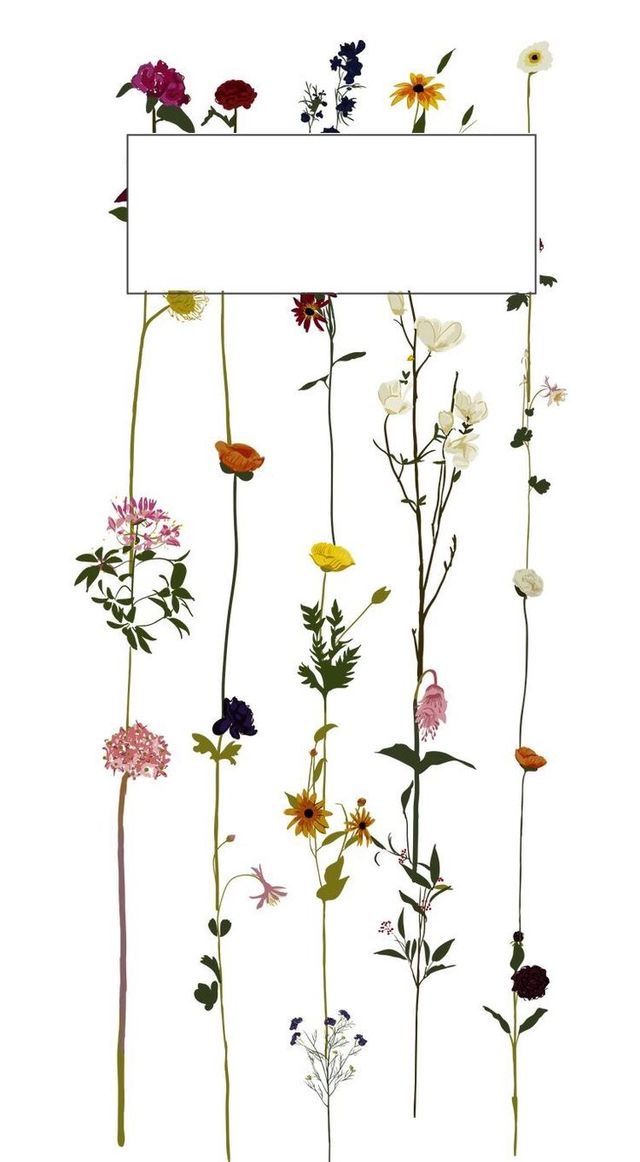 an image of flowers that are hanging from the side of a white signboard with space for text