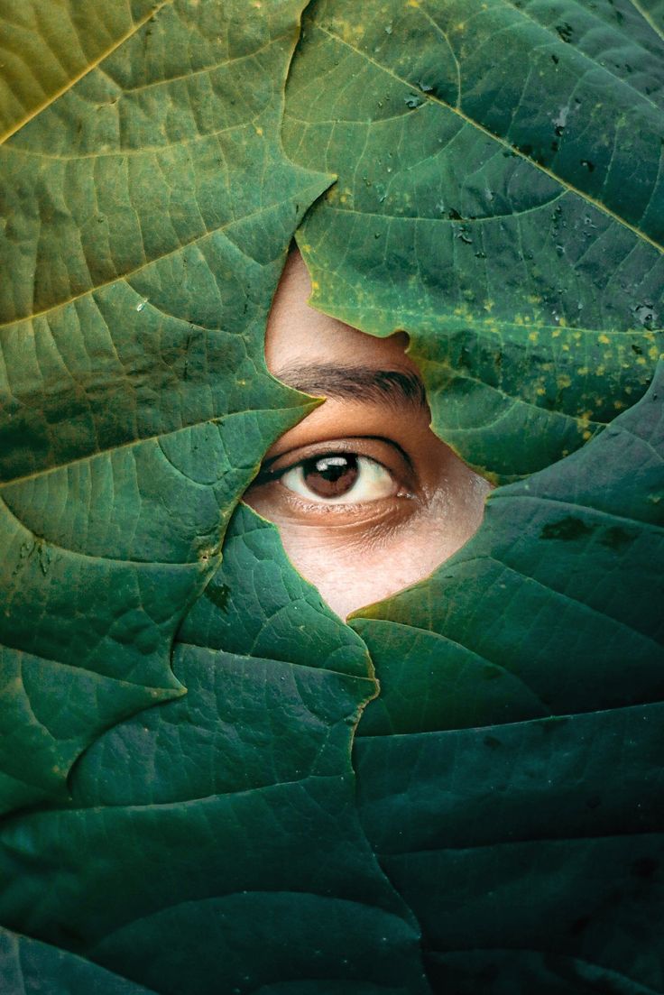 a person's eye peeks out from behind a large green leaf with leaves on it